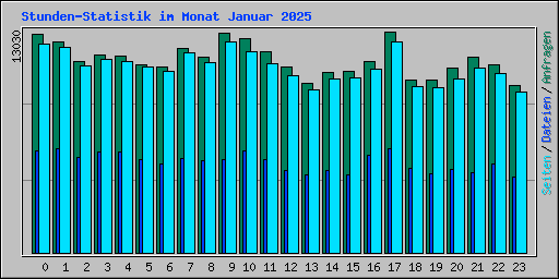 Stunden-Statistik im Monat Januar 2025